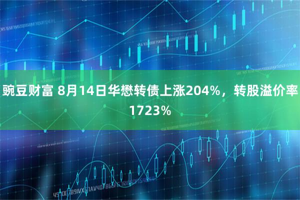 豌豆财富 8月14日华懋转债上涨204%，转股溢价率1723%