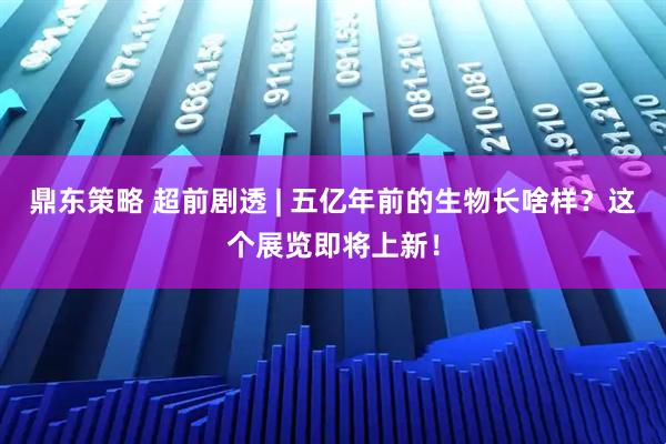 鼎东策略 超前剧透 | 五亿年前的生物长啥样？这个展览即将上新！