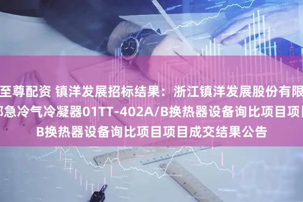 至尊配资 镇洋发展招标结果：浙江镇洋发展股份有限公司PVC装置部急冷气冷凝器01TT-402A/B换热器设备询比项目项目成交结果公告