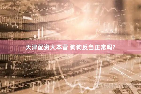 天津配资大本营 狗狗反刍正常吗?