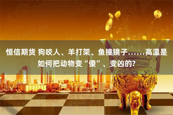 恒信期货 狗咬人、羊打架、鱼撞镜子……高温是如何把动物变“傻”、变凶的?