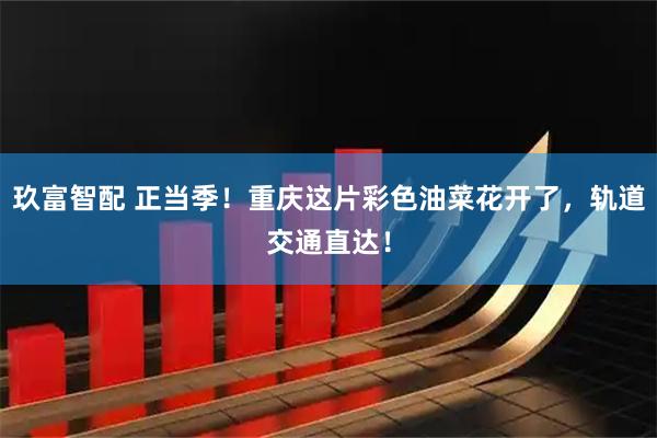 玖富智配 正当季！重庆这片彩色油菜花开了，轨道交通直达！