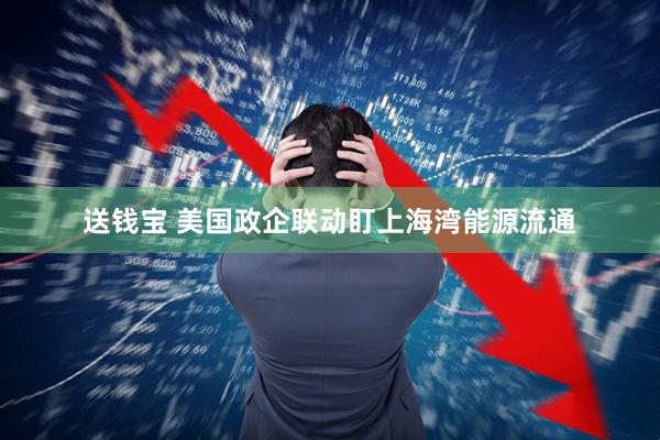送钱宝 美国政企联动盯上海湾能源流通