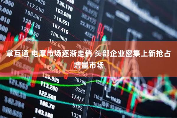 掌互通 电摩市场逐渐走俏 头部企业密集上新抢占增量市场